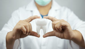 רופא מציג שן מדומה
