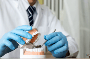 רופא שיניים מחזיק שיניים רפואיות לצורך הדגמה